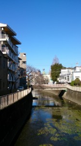 善福寺川